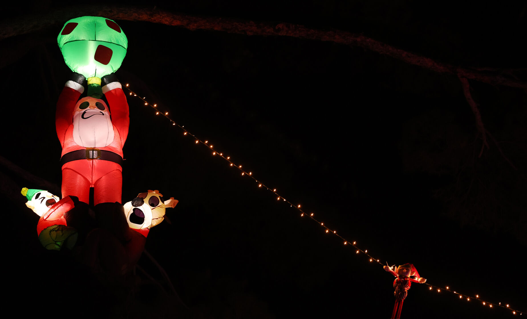 75th Winterhaven Festival of Lights